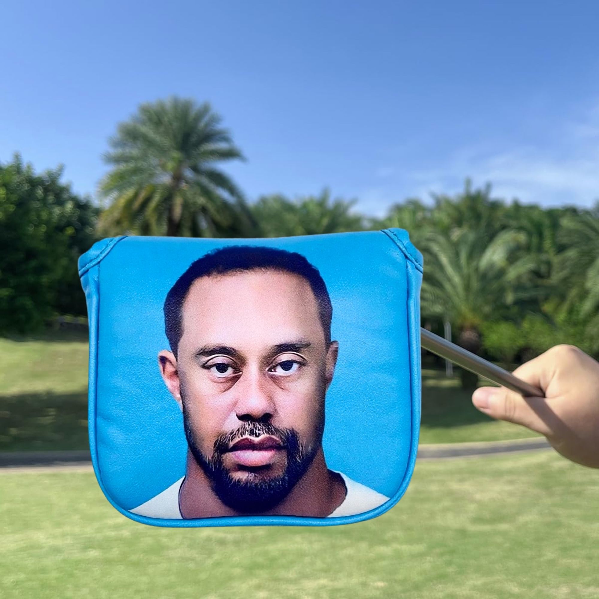 Divertido mazo de golf Putter  - Golf Equipment And Accessories reseña y precio